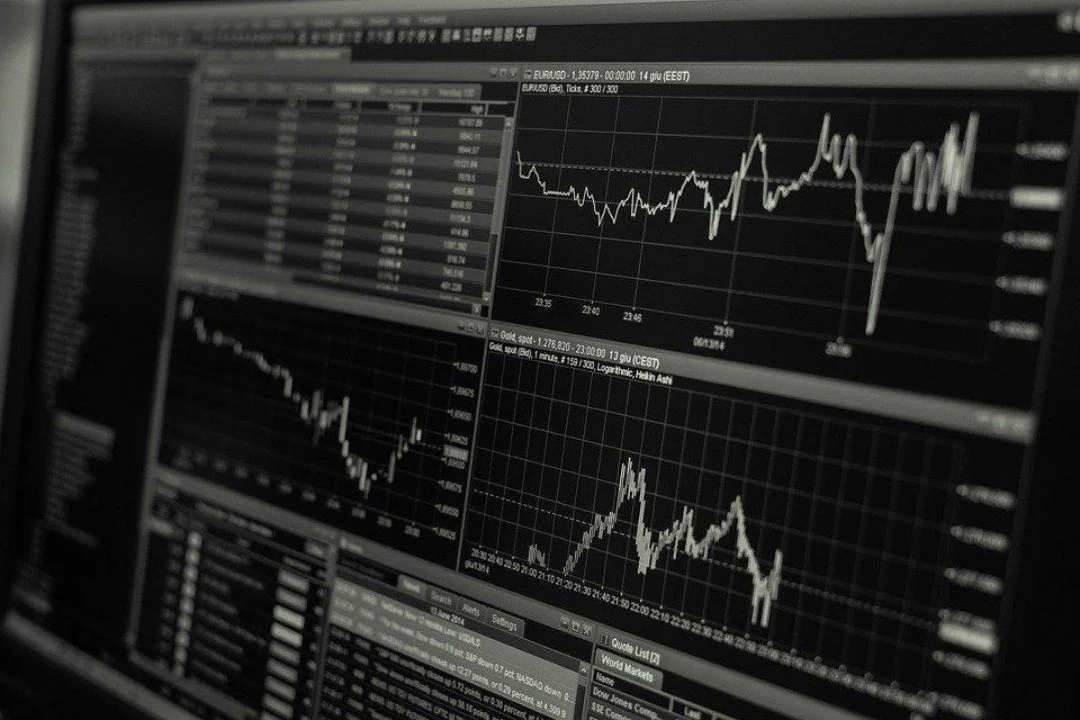 The 6 Most Popular College Majors You Should Consider