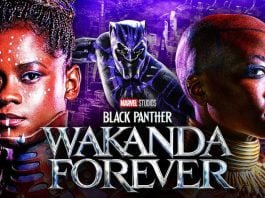 Black Panther Wakanda Forever 3