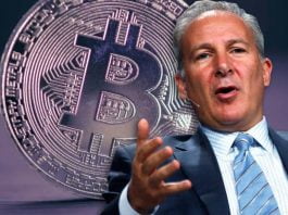 Peter Schiff Predicts Bitcoin's Worthlessness and Imminent Demise