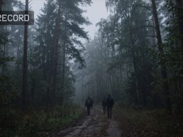 A conceptual digital representation of a misty forest with an analog camcorder interface overlay.