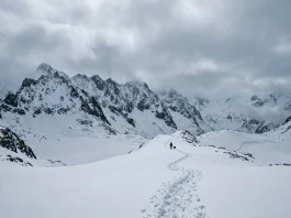 A silhouette of a man and a dog walking through a vast Alaskan snow landscape under a grey sky.