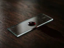 A conceptual image of a blood slide on a dark surface representing a lasting legacy.