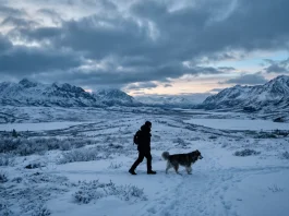 Conceptual silhouette of a man and dog in a snowy wilderness
